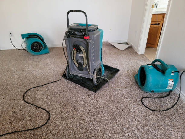 Best Carpet water damage restoration  in Port St Lucie, FL