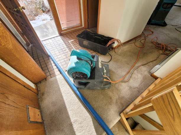 Best Professional water damage repair  in Port St Lucie, FL