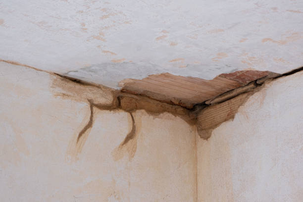 Best Ceiling water damage repair  in Port St Lucie, FL