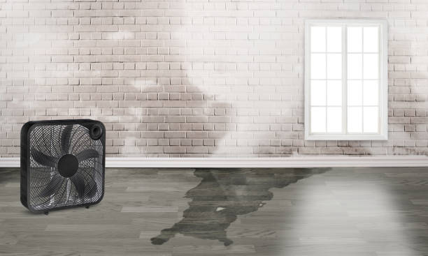 Best Water damage restoration near me  in Port St Lucie, FL