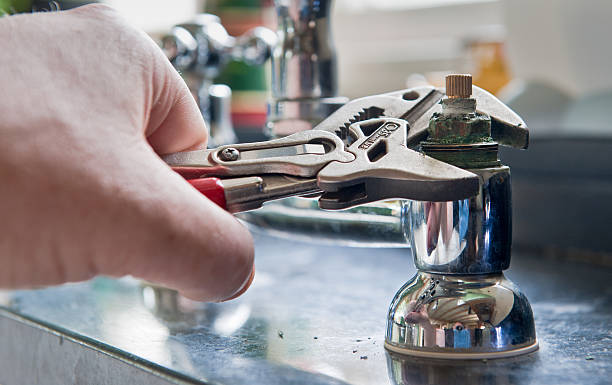 Best Mold removal after water damage  in Port St Lucie, FL