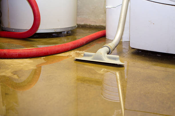 Best Water damage contractors near me  in Port St Lucie, FL