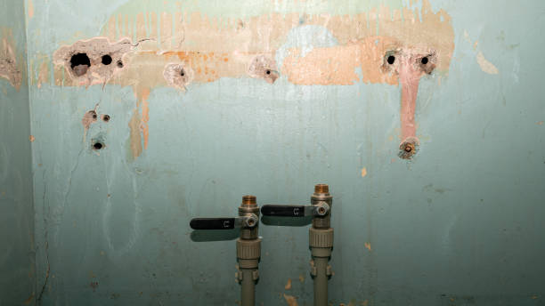 Best Water damage contractors near me  in Port St Lucie, FL