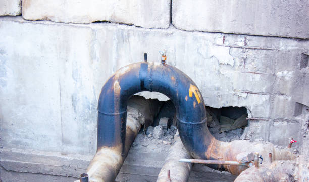 Best Flood restoration services  in Port St Lucie, FL