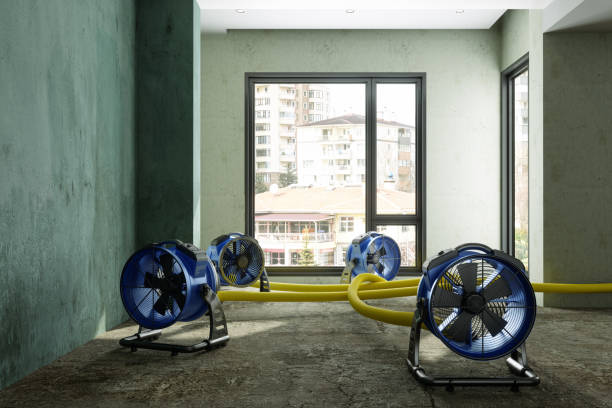 Water damage restoration mold remediation in Port St Lucie, FL