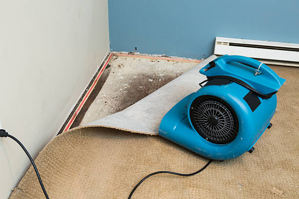 Best Sewage cleanup and water damage restoration  in Port St Lucie, FL